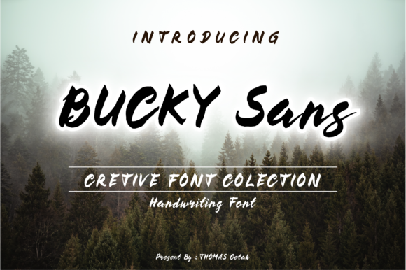 Bucky: A Retro Font for Web Design