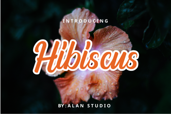 Hibiscus: A Sweet Script Font