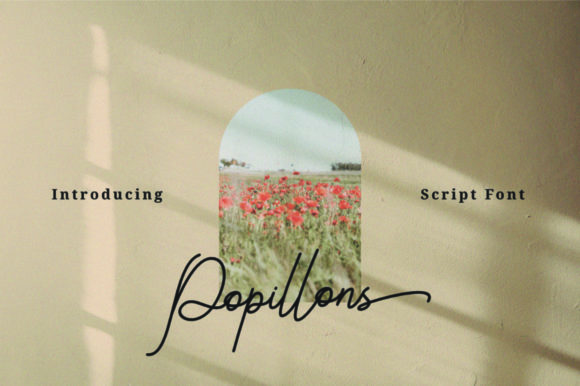 Popillons: A Script Font for Web Design